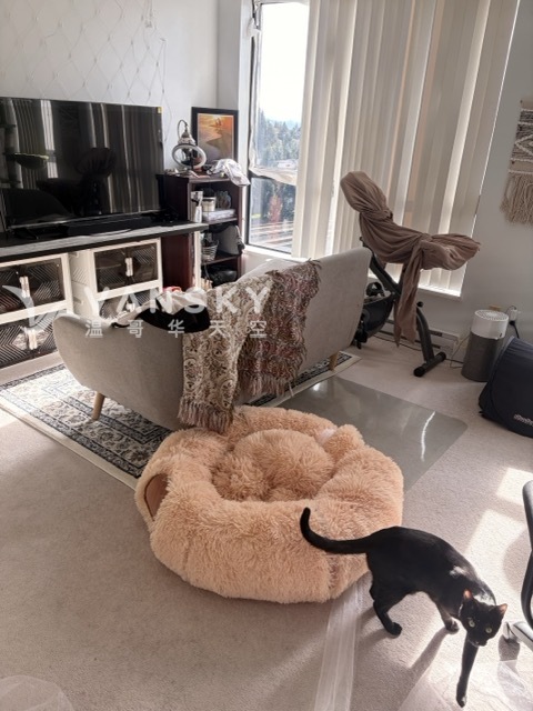 260418165836_IMG_3808 Medium.jpeg